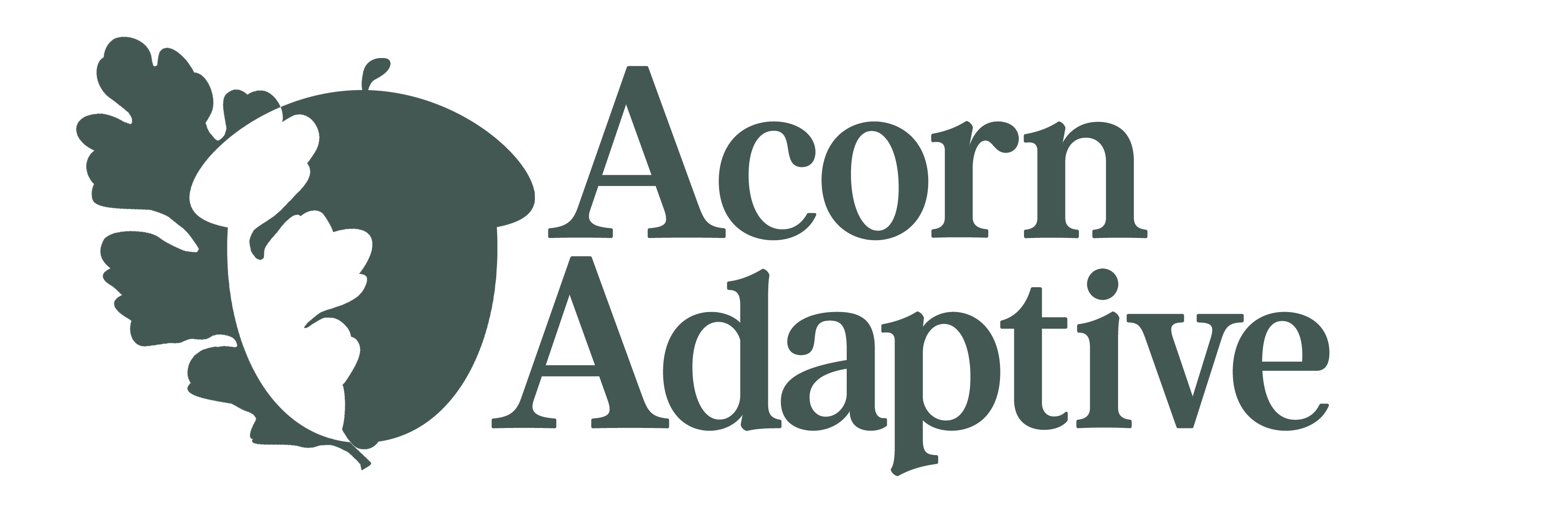 Acorn Adaptive Logo